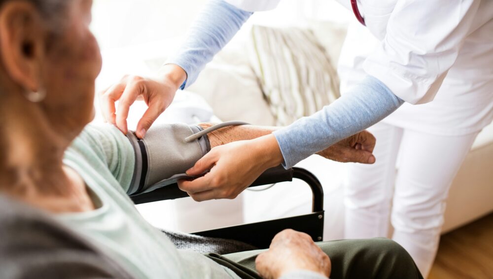 Hospice Companions